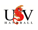 Logo US VILLEJUIF HANDBALL