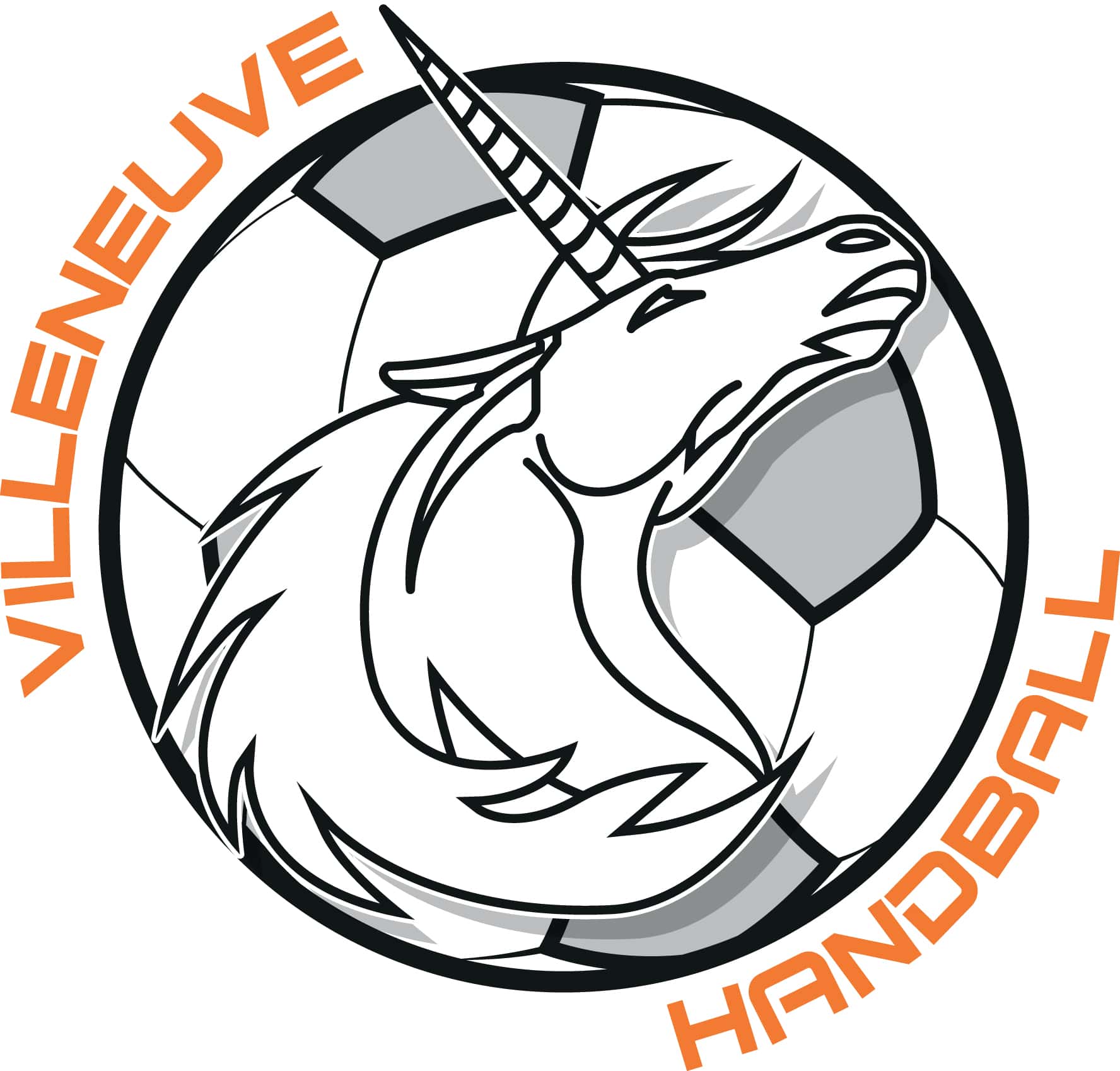 Logo VILLENEUVE LE ROI HANDBALL