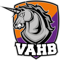 logo villeneuve ablon handball transparent 2
